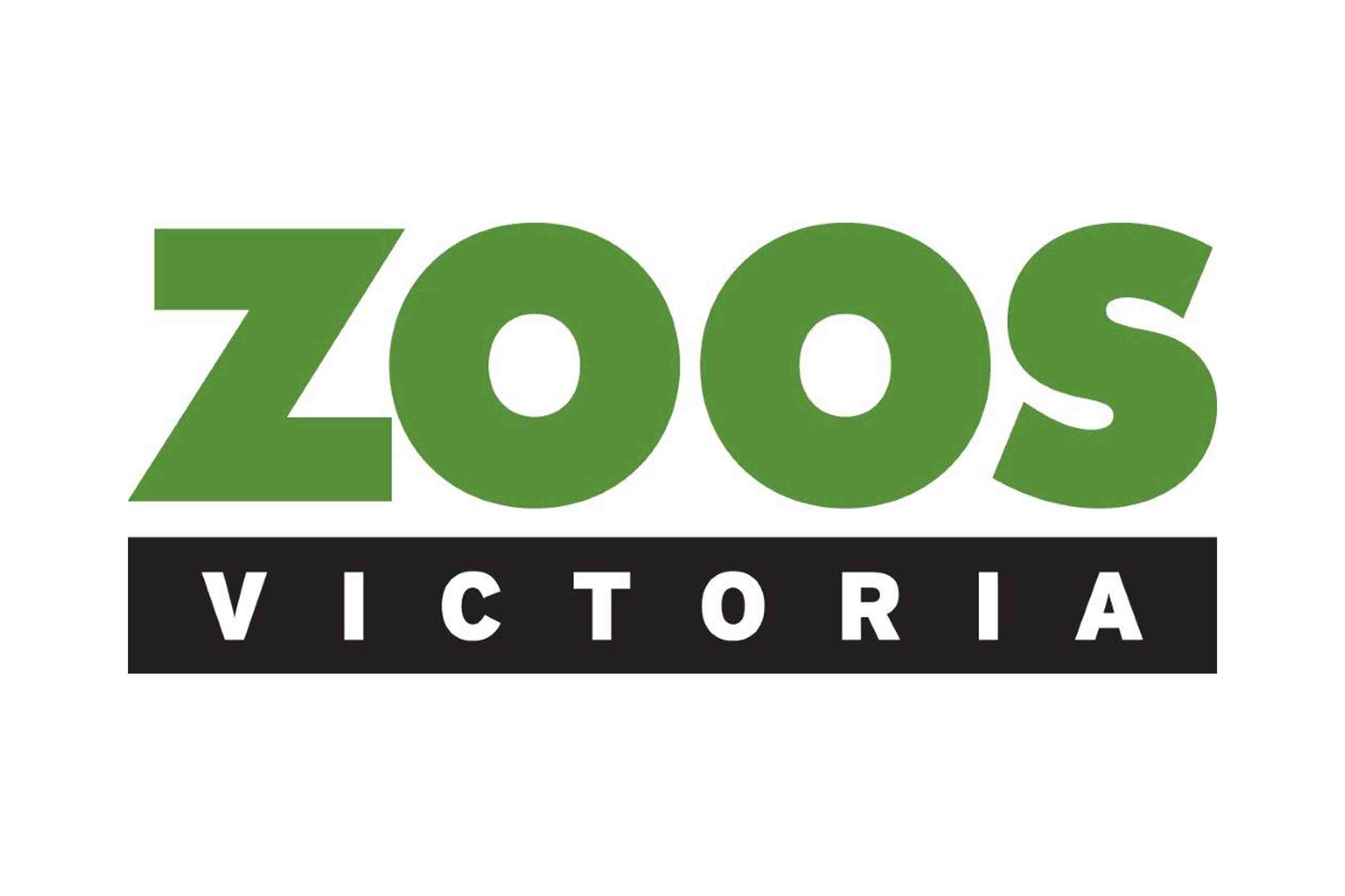 Zoos in Victoria are Bringing the Zoos to You at Home